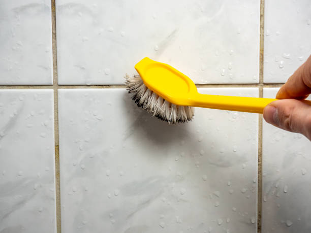 Best Office Mold Removal Services  in Villa Ridge, MO