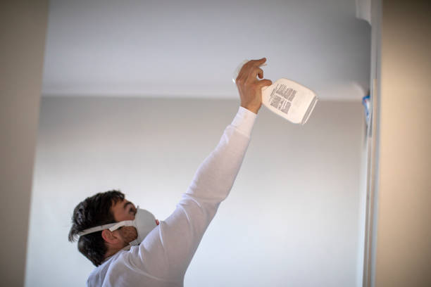 Best Mold Removal Near Me  in Villa Ridge, MO